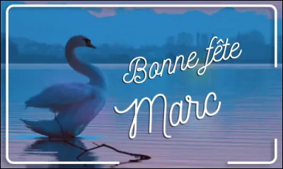 Le 25, c'est la Saint-Marc ! Où se situe la cathédrale qui lui est dédiée ?