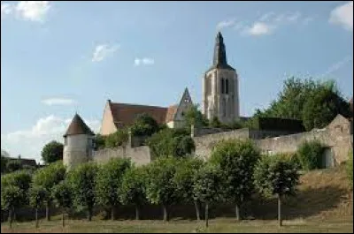 Commune Loirétaine, Bonny-sur-Loire se situe en région ...