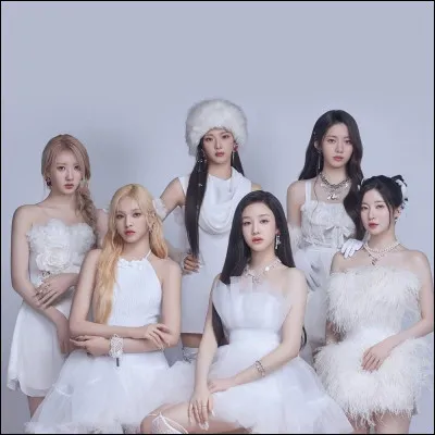 Qui est ta bias dans le groupe ? (1)