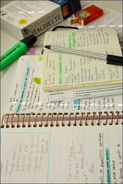 Tu es en train de faire tes devoirs et ta copine t'appelle et te demande si tu peux sortir. Que fais-tu ?