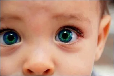 Qui a dit : La beauté est dans les yeux de celui qui regarde ?