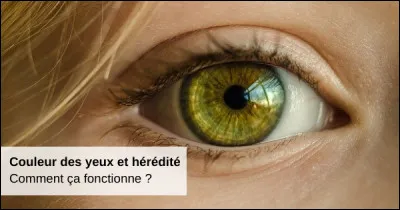 Qui était surnommée "La Fille aux yeux d'or" ?