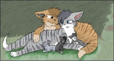 Combien avez-vous eu de portées de chatons ?