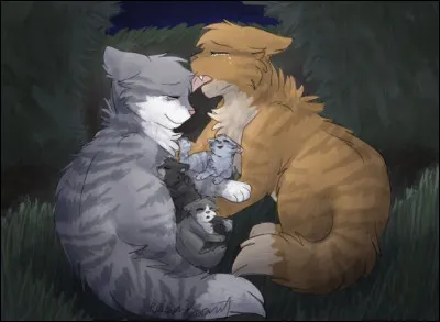 Comment t'es-tu rapprochée de ton compagnon ?