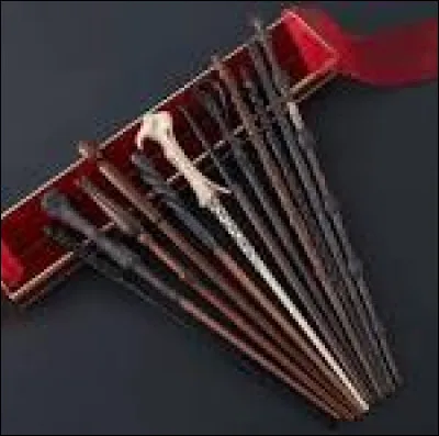 Quel est le bois de ta baguette ?