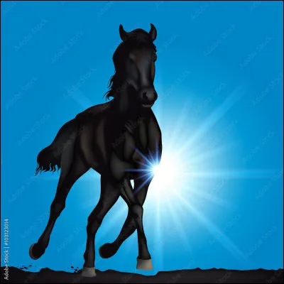 Quel est le nom de la robe de couleur noire ?