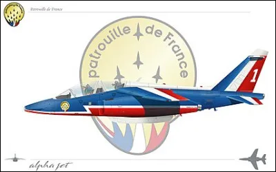 En 2024, quel avion équipe la patrouille de France ?