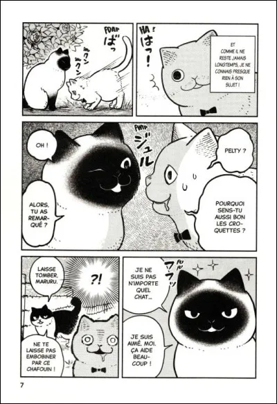 Comment s'appelle le chat narcissique ?