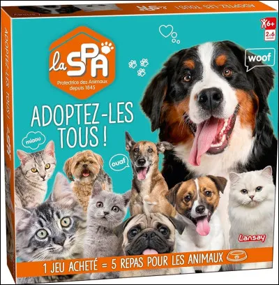 Quelle péripétie est arrivée à Hachi ?