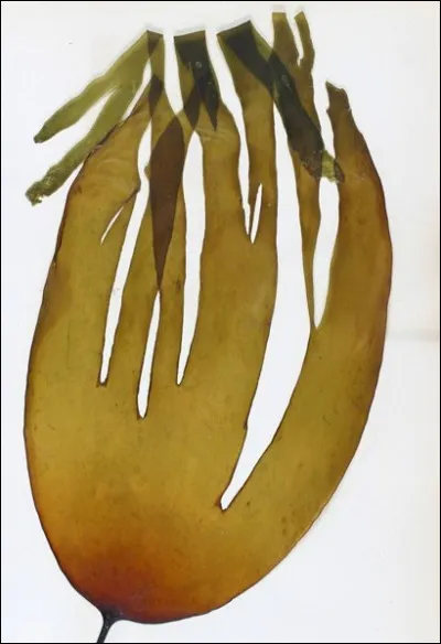 De la bougie au spot, c'est le...