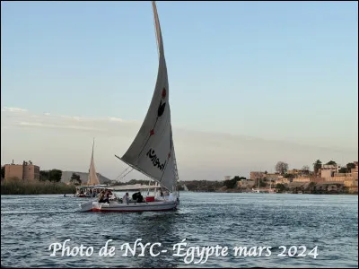 Quel est ce type de petit bateau à voile typique qui navigue sur le Nil en grand nombre ?