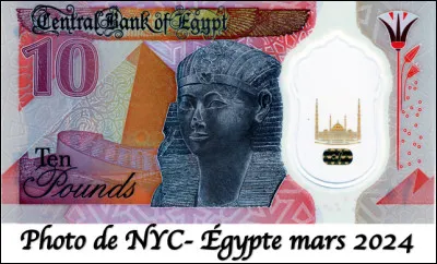 Quelle est la monnaie officielle de l'Égypte ?