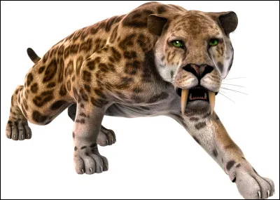 Quel était l'autre nom donné au "smilodon" ?