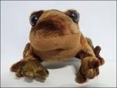 Dans "Harry Potter et les Reliques de la mort", que leur fait lire le père de Luna ?