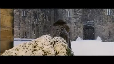 Avec qui Luna Lovegood se marie-t-elle ?