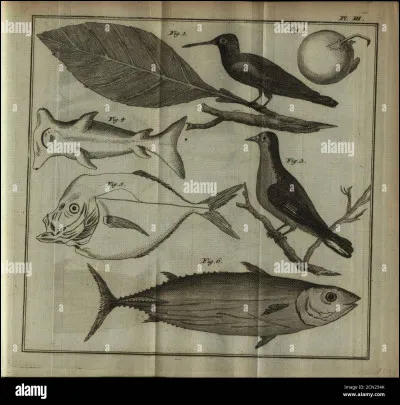 Quel animal préhistorique est toujours vivant aujourd'hui ?