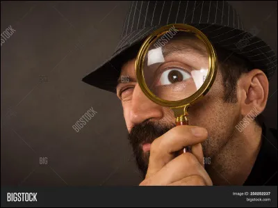 Quelles découvertes ont permis d'étudier plus précisément la Préhistoire et ses animaux ?