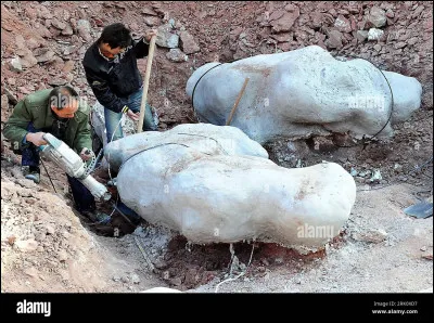 J'étudie les restes fossiles des êtres vivants du passé, enfouis dans les roches ou dans les sédiments géologiques. Je suis un...