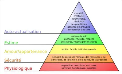 Quel nom donne-t-on à cette pyramide de motivation humaine qui comporte 5 niveaux de besoins, des plus vitaux aux plus élevés ?