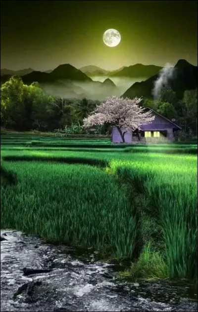 Dans lequel de ces romans rencontre-t-on Laura Ingalls ?