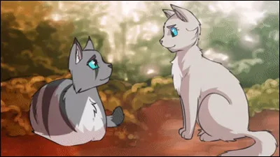 Je me suis entraînée dans la Forêt Sombre car personne ne faisait attention à moi, mais tous à ma sur. Après je suis devenue une espionne pour le clan et je suis amoureuse de Poil de Bruyère :