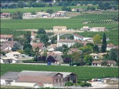 Commune de l'aire urbaine Bergeracoise, sur les bords de la Dordogne, Saint-Laurent-des-Vignes se situe dans le département ...