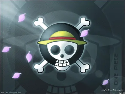Quel fond d'écran One Piece préfère tu ?
