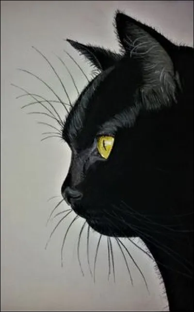 Sachez que celui qui m'a tué était un criminel et un traître. Je suis mort entre ses pattes pendant qu'il était encore banni ! Je suis...