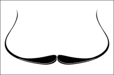 À qui appartiennent ces moustaches ?