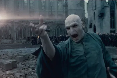 Harry a-t-il réussi à le tuer ?