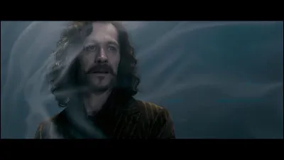 Qui a tué Sirius Black ?