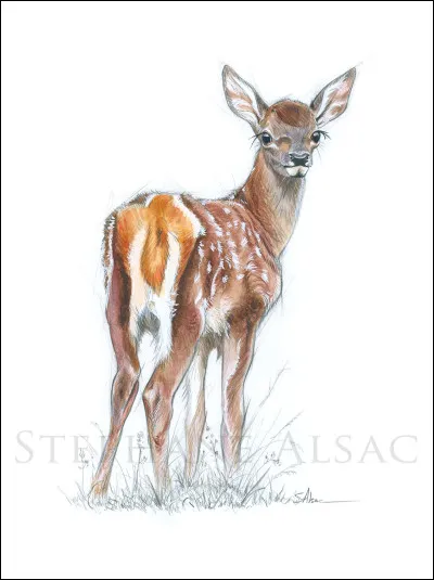 Quelles sont les déesses qui ont juré la virginité ?