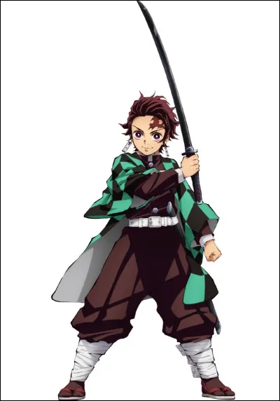 De quel manga est ce personnage ?