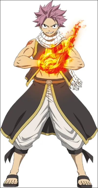 De quel manga est ce personnage ?