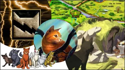 On va dire que tu tappelles Petit Loir. Tu tennuies alors à quoi veux-tu jouer ?