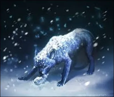 Pourquoi a-t-elle abandonné ses chatons ?