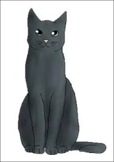 Le prénom de son neveu est 