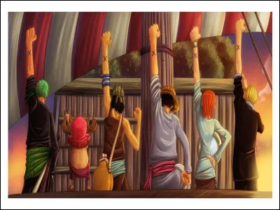 Qui est le membre des chapeau de paille, qui n'a pas pu continuer l'aventure ?