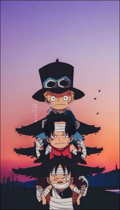 Qui est le frère biologique de Luffy ?