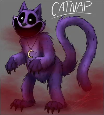 Que pensez-vous de CatNap ?