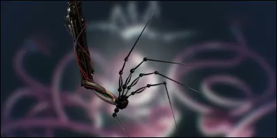 Comment trouvez-vous Prototype ?