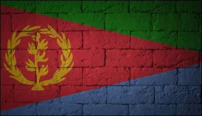 Quel pays possède ce drapeau ?