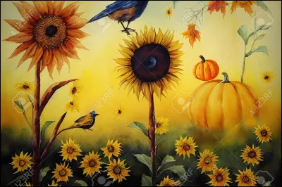 Les oiseaux ont tous un faible pour les pétales de tournesol :