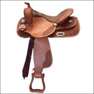 Comment s'appelle ce type de selle ?