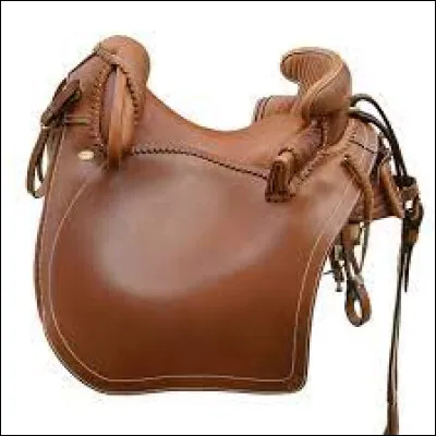 Comment s'appelle ce type de selle ?