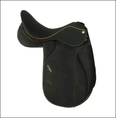 Comment s'appelle ce type de selle ?