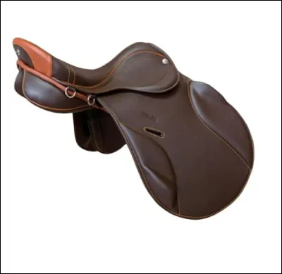 Comment s'appelle ce type de selle ?