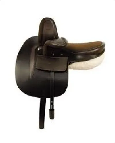 Comment s'appelle ce type de selle ?