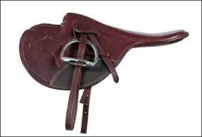 Comment s'appelle ce type de selle ?