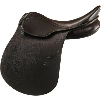 Comment s'appelle ce type de selle ?